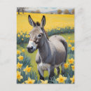 Zoek naar gele narcissen briefkaarten Kleurrijk