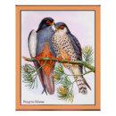 Recherche de pèlerins posters Animaux