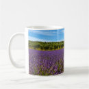 Recherche de provence tasses Lavande