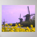 Recherche de moulins de vent posters Jaune