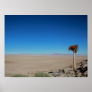 Zoek naar namibië posters Woestijn