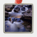 Recherche de ressort ornements Usa