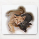 Recherche de amant chat tapis souris Amants