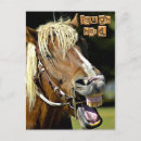 Recherche de cheval humoristique cartes postales Amusant