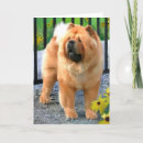 Recherche de bouffe vœux cartes Chiot