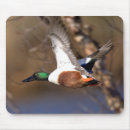 Recherche de chasse à oiseau tapis souris Canards