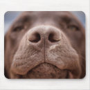 Recherche de chocolat tapis souris Pet