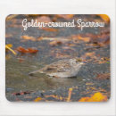 Recherche de moineau tapis souris Observation des oiseaux