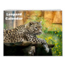 Zoek naar leopard kalenders Dier