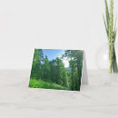Recherche de forêt photographie Nature