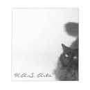 Recherche de kitty photographie Minou
