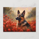 Recherche de chien de berger cartes postales Animal