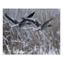 Recherche de chasse neige posters Noël