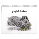 Zoek naar engels kalenders Spaniel