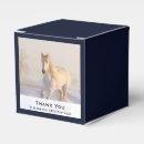 Recherche de chevaux ballotins Équestre