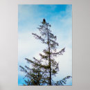 Zoek naar toren posters Groen