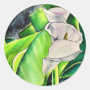 Recherche de mensonge autocollants Feuille