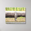 Zoek naar watervogels kunst Wild