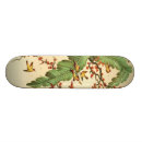 Recherche de asiatique skateboards Illustration