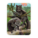 Zoek naar madagascar Natuur