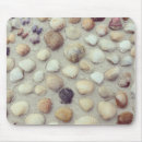 Recherche de coquillage tapis souris Collection