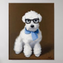 Recherche de frise bichon posters Chiot