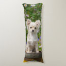 Zoek naar langharig kussens Hond