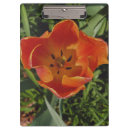 Recherche de fleurs porte blocs Photographie