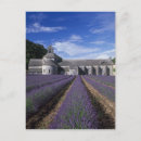 Recherche de vaucluse cartes postales Provence