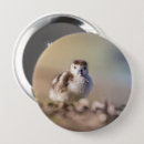 Recherche de nature photo badges Photographie de la faune