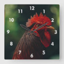 Zoek naar hanen klokken Boerderij