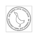 Recherche de canard timbré Oiseau
