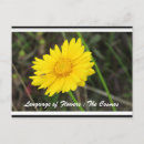 Recherche de signification des fleurs posters Orange