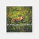 Recherche de six serviettes Humour