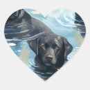 Zoek naar zwart labrador stickers Zwarte lab