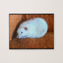 Zoek naar rat puzzels Gezelschapsdieren