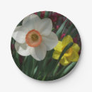 Zoek naar narcissen borden Lente
