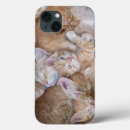Recherche de chat domestique iphone coques Mignonette