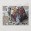 Recherche de chameau cartes postales Sahara