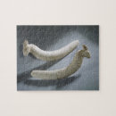 Recherche de dynastie puzzles Sites