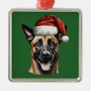 Recherche de malinois belges ornements Animal