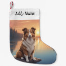 Recherche de colley chaussette de noël Chiens