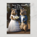 Recherche de quokka cartes postales Faune