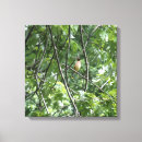 Recherche de cardinal painting toiles Nature