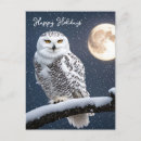 Zoek naar sneeuwuilen briefkaarten Kerstmis