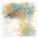 Zoek naar schildpad kunst Strandhuis