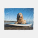 Recherche de golden retriever Plage