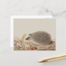 Recherche de hérisson cartes postales Antique