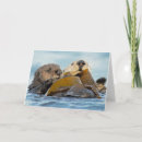 Zoek naar zee otters kaarten Zeeen otterkaart
