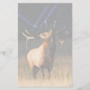 Zoek naar dierenvriend briefpapier Schattig